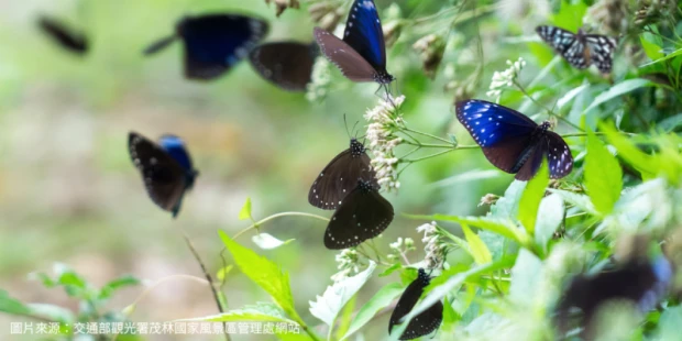 茂林國家風景區