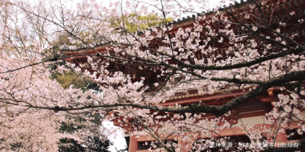 醍醐寺