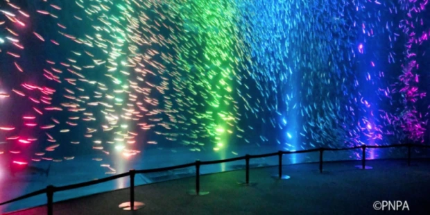 名古屋港水族館