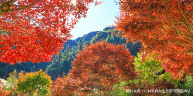 杉林溪森林遊樂區(不含入園門票)～賞楓季