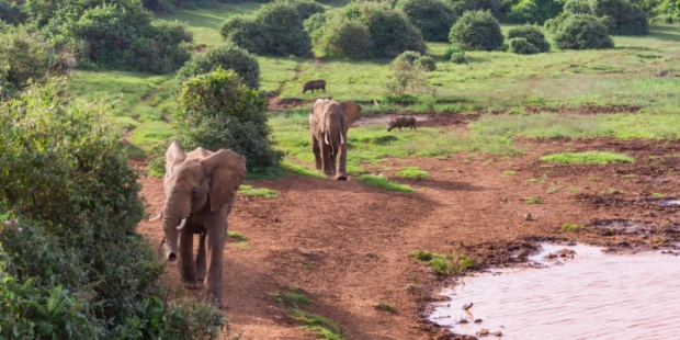 阿布岱爾國家公園