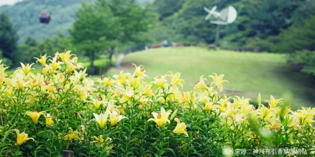 神戶布引香草園