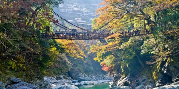 祖谷溪葛藤橋