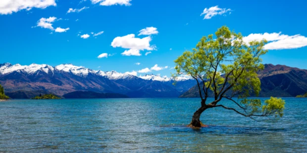 瓦納卡湖Lake Wanaka