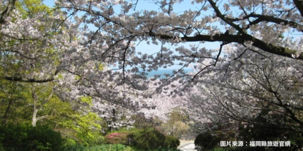 白野江植物公園