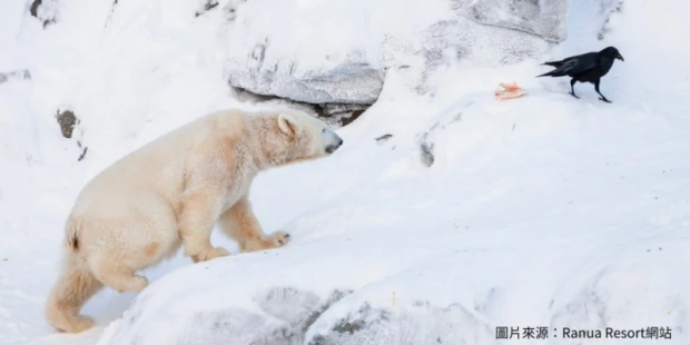 拉努亞極地野生動物園