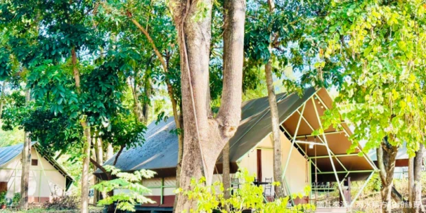 清水那方豪華露營區