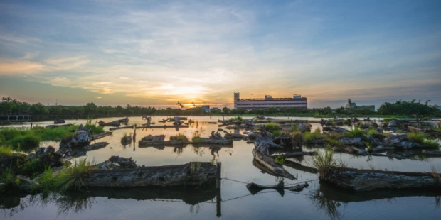 羅東林業文化園區