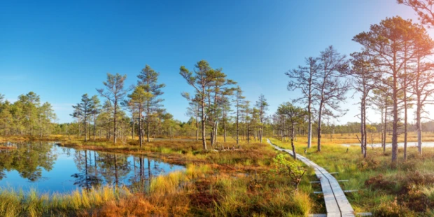 拉赫馬國家公園