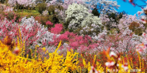 花見山公園