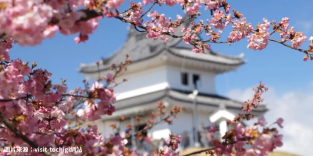 宇都宮