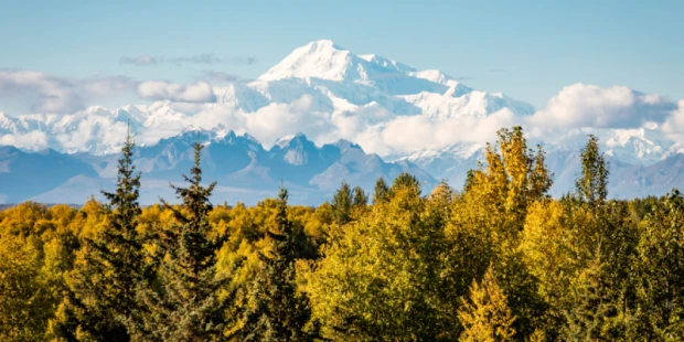 丹奈利國家公園