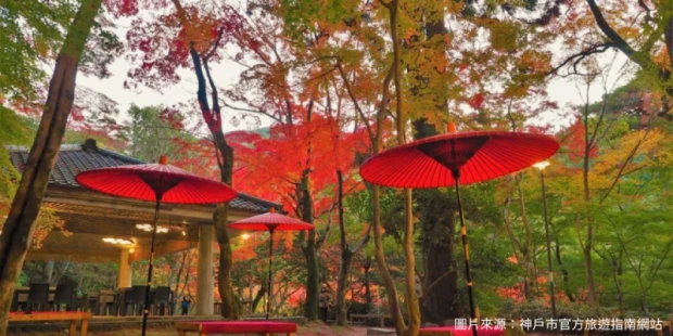 有馬瑞寶寺公園
