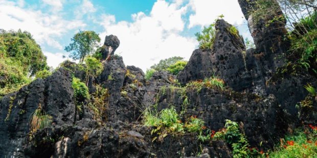 韓龍山景觀公園HamRong
