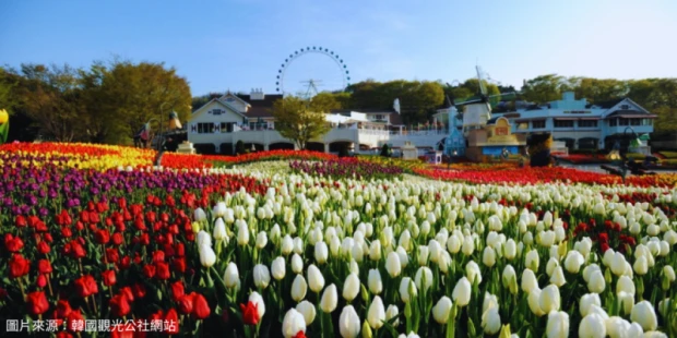 愛寶樂園