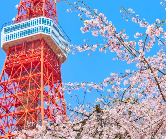 2026台灣連假旅遊全攻略｜全年0補班日，補假這樣放、旅遊這