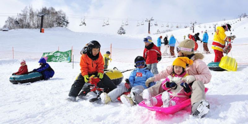 九重森林公園戲雪
