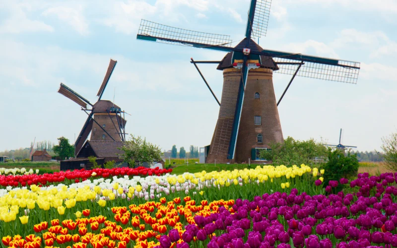 【超值荷比德法】庫肯霍夫花園、阿姆斯特丹、艾菲爾鐵塔10日