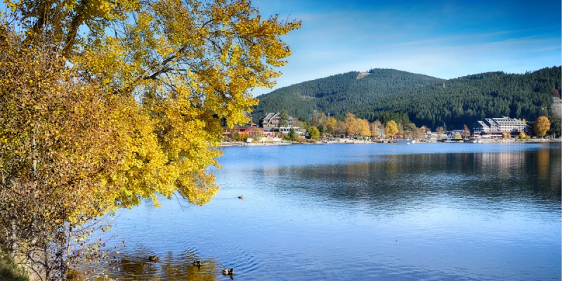 蒂蒂湖Titisee