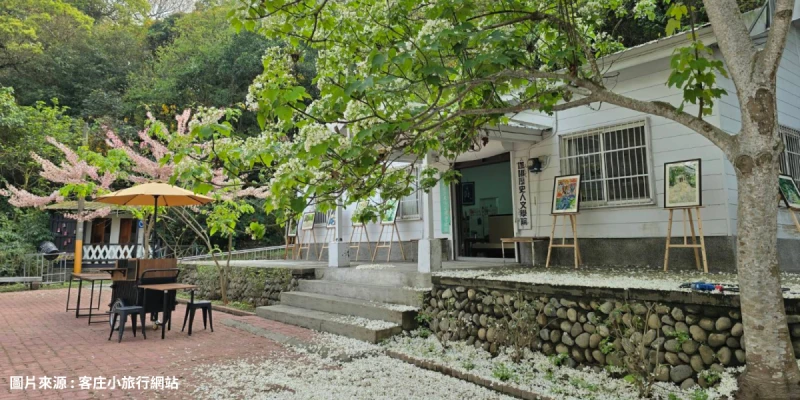 荷苞山桐花公園