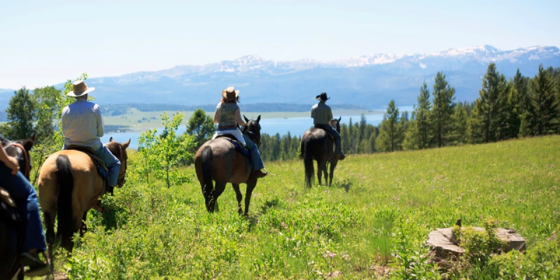 草原上騎馬體驗