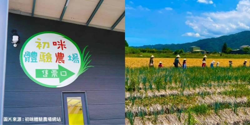 初咪體驗農場