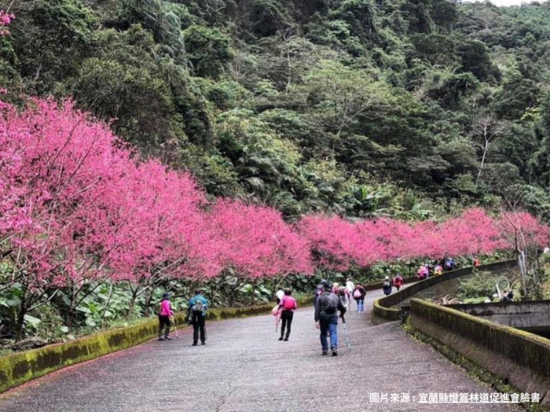 登篙林道-宜蘭唯美秘境