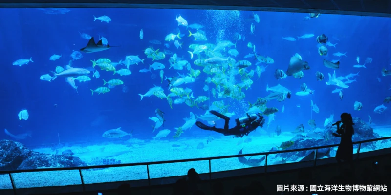 國立海洋生物博物館(不含門票)