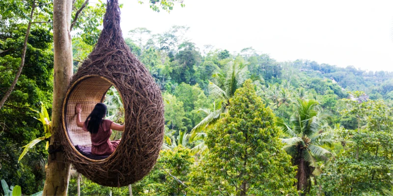 BIRD NEST浪漫空中鳥巢