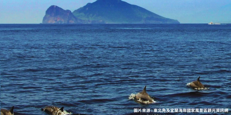 宜蘭賞鯨環繞龜山島