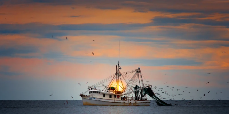 黃昏夕陽遊～出海夜釣