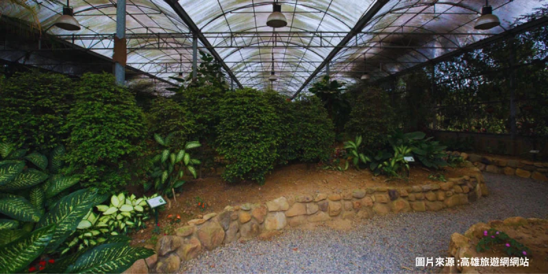 大坪頂熱帶植物園