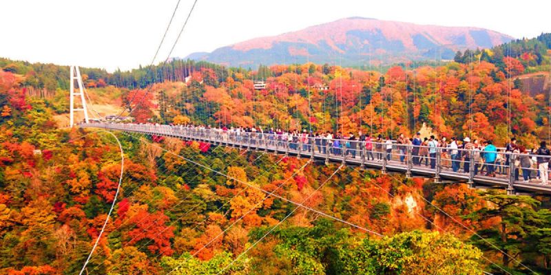 九重夢大吊橋