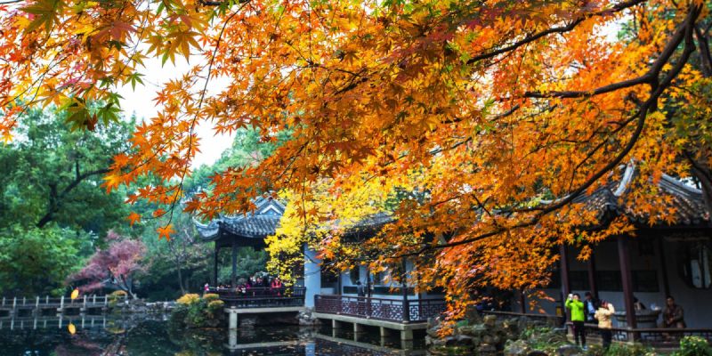 錫惠公園~賞秋楓