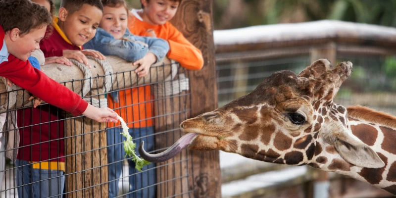 珍珠野生動物園