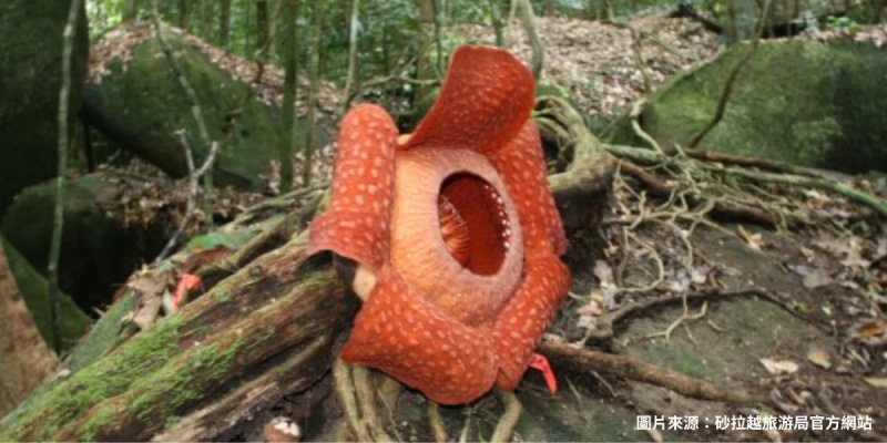 加汀山國家公園