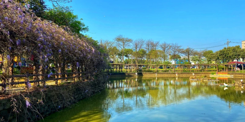 龜山大湖紀念公園(紫藤花季/流蘇花)