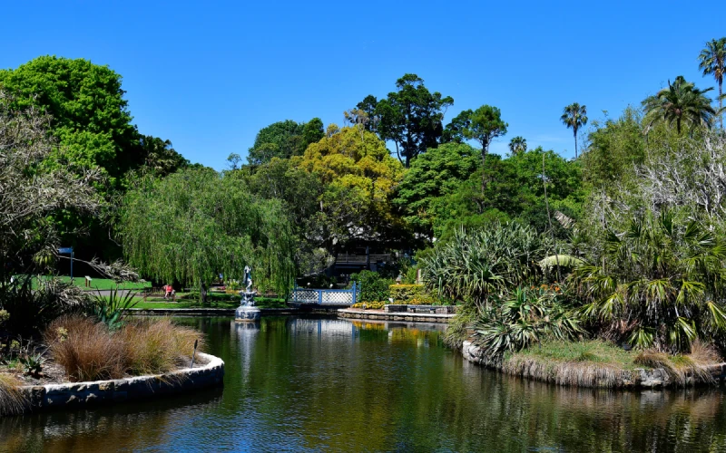 雪梨皇家植物園RoyalBotanicGarden