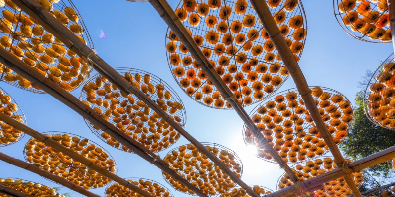 味衛佳柿餅觀光農場