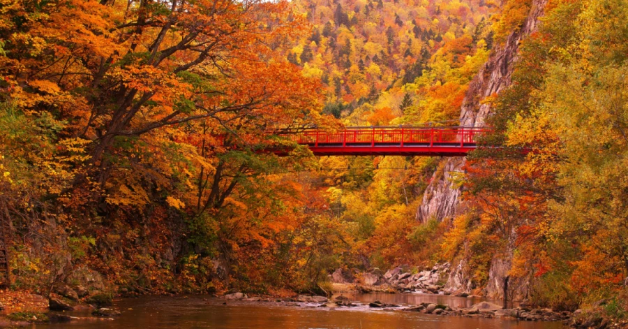 北海道 定山溪 豐平川 賞楓