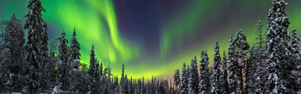 【極光芬蘭】極光觀測四晚，第二人再折1萬