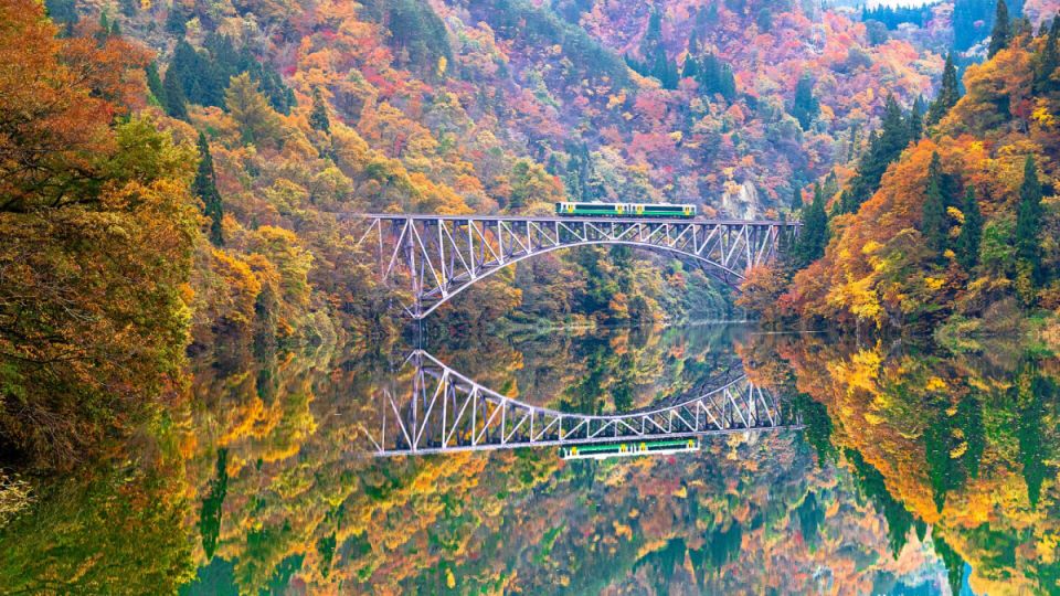 日本東北 只見線 鐵道 楓葉 攝影